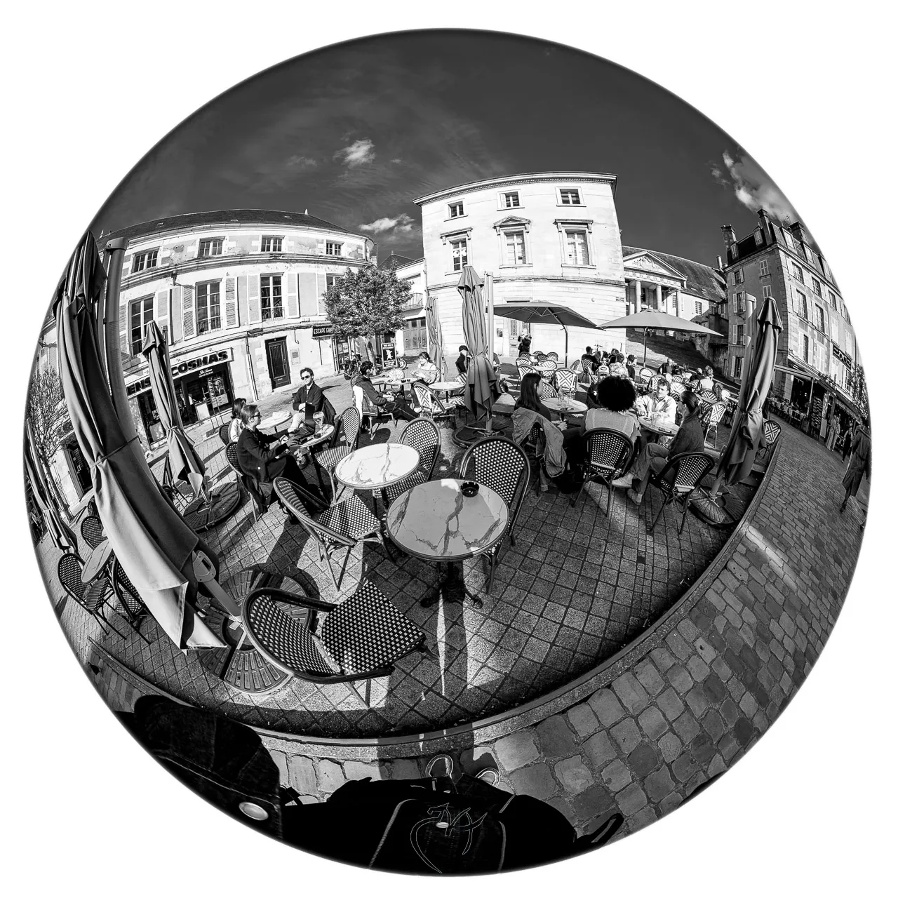 L'oeil de poisson vous observe - Photo n°8
