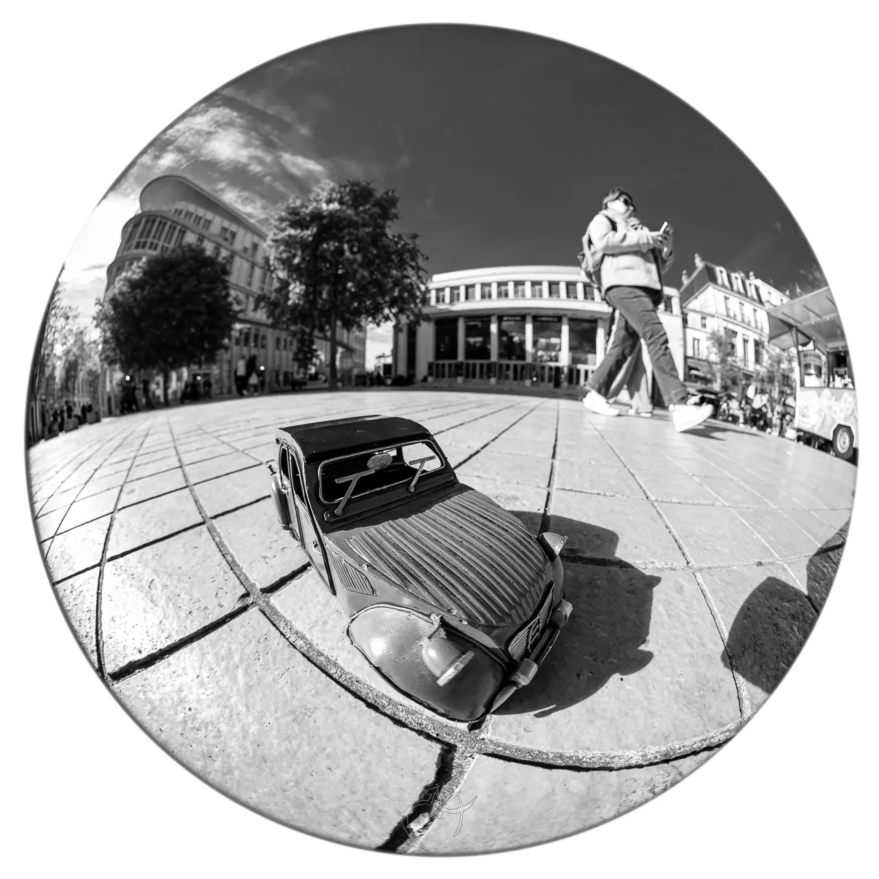 L'oeil de poisson vous observe - Photo n°9