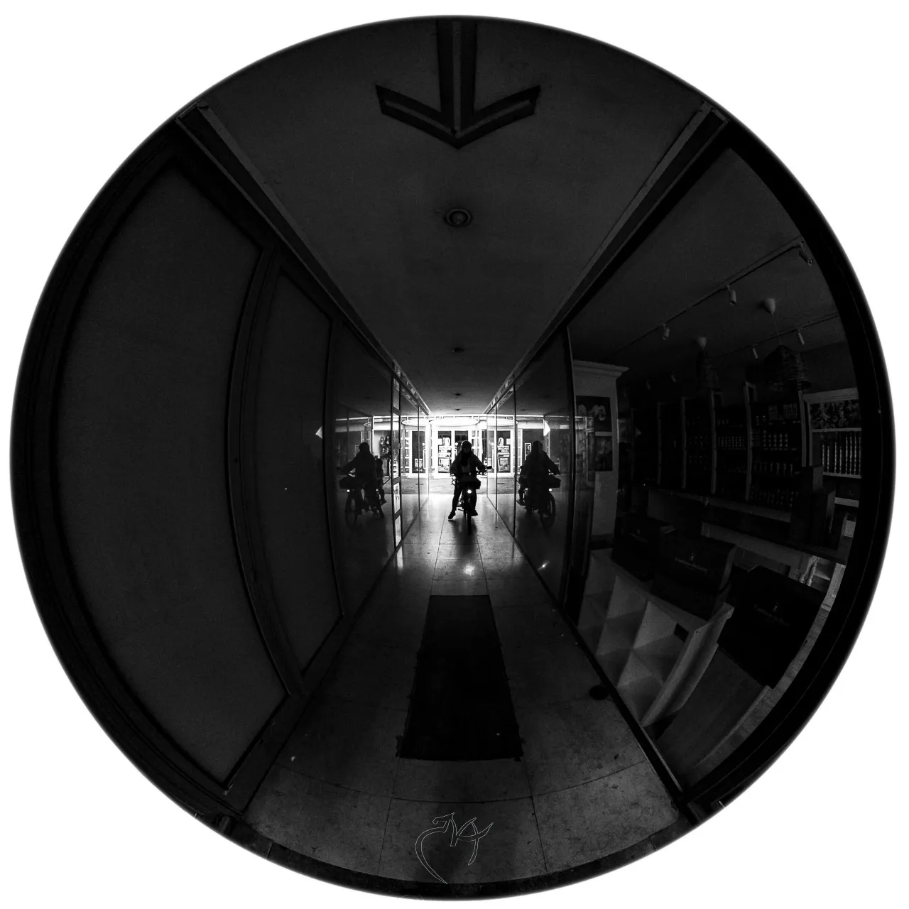 L'oeil de poisson vous observe - Photo n°14
