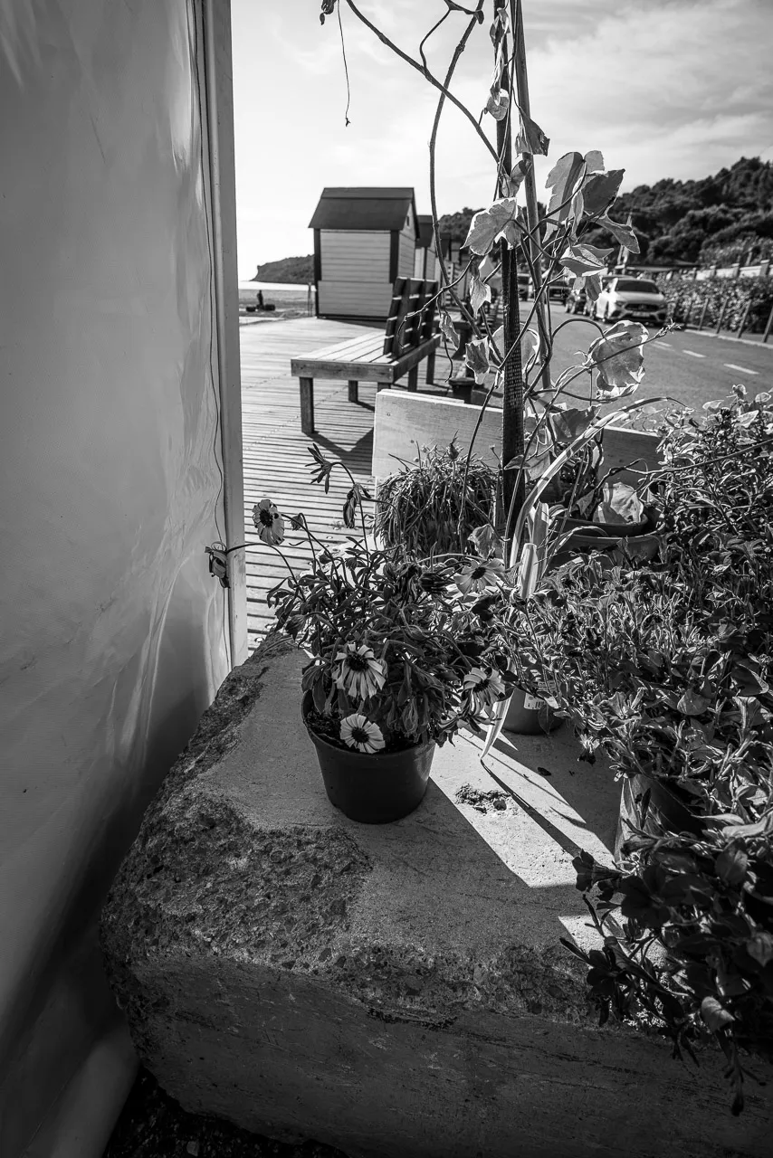 Ouverture Mondial du vent - Photo n°8
