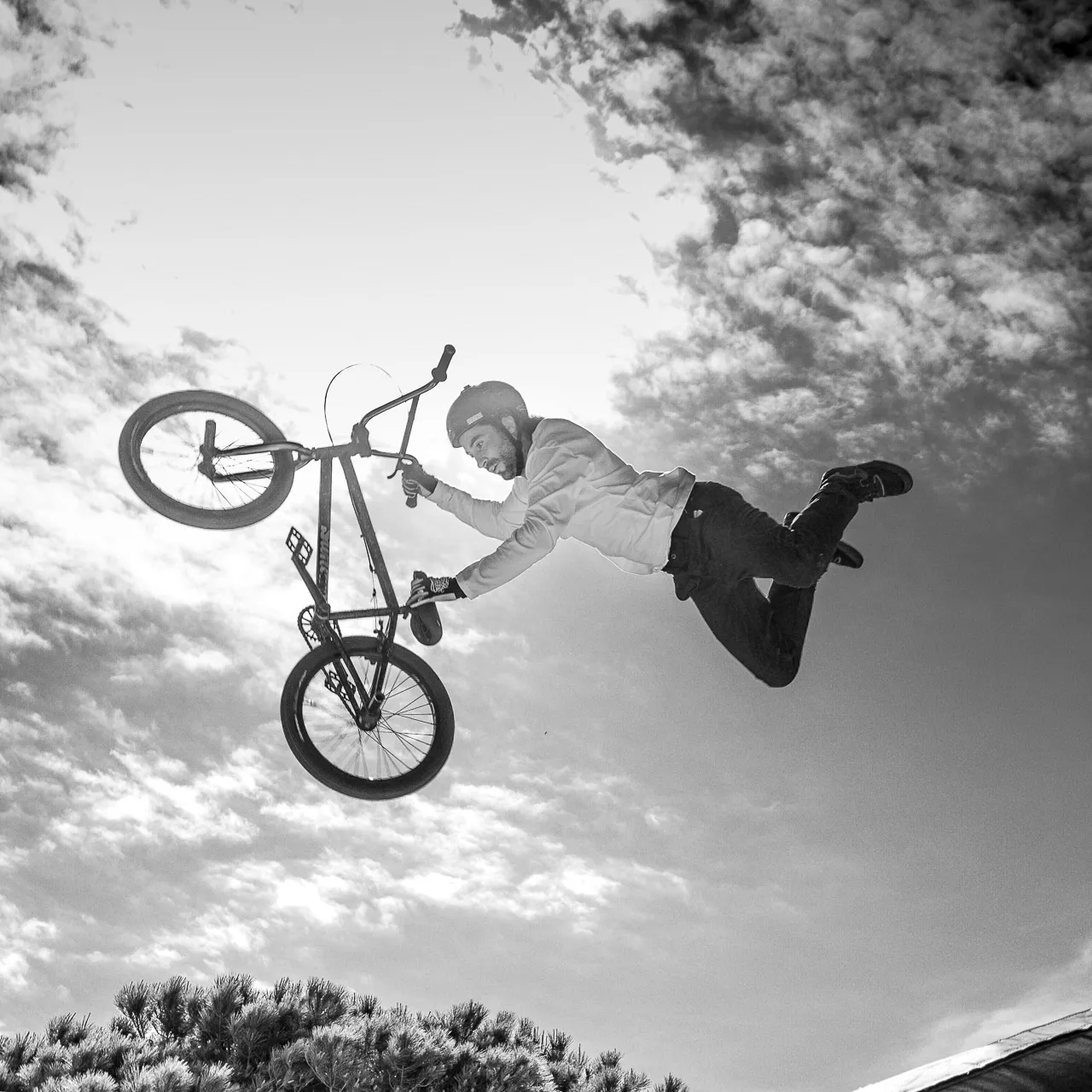MDV BMX - Photo n°8
