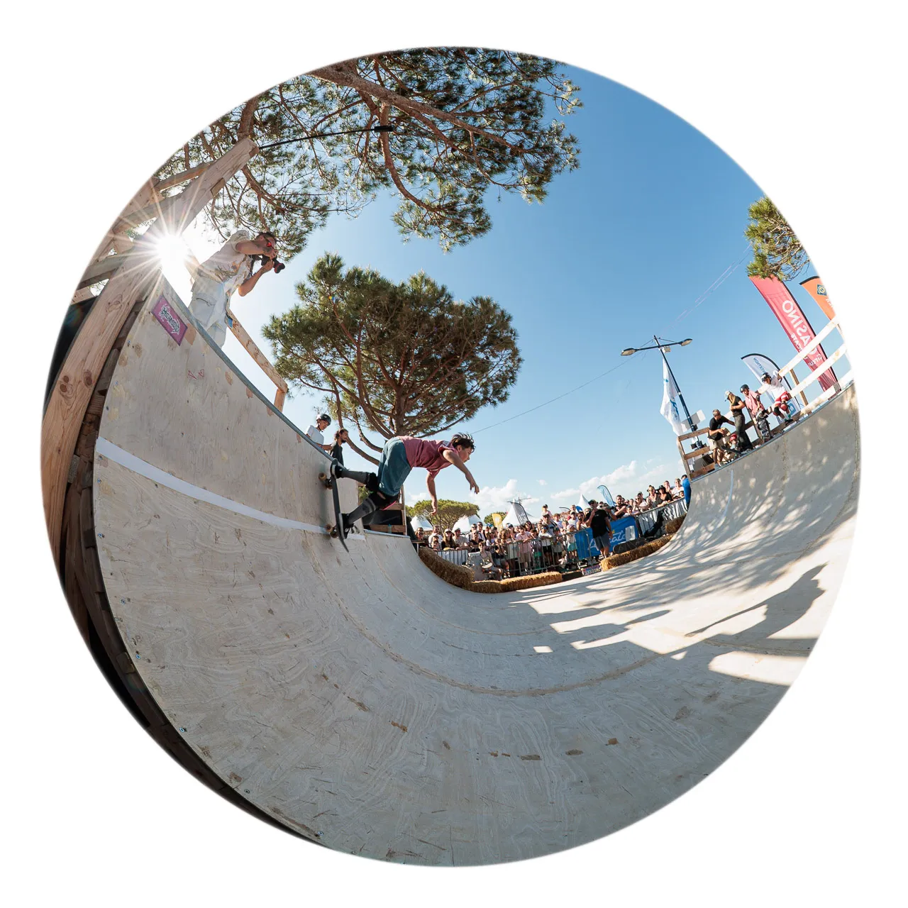 Skate petite rampe - Photo n°4