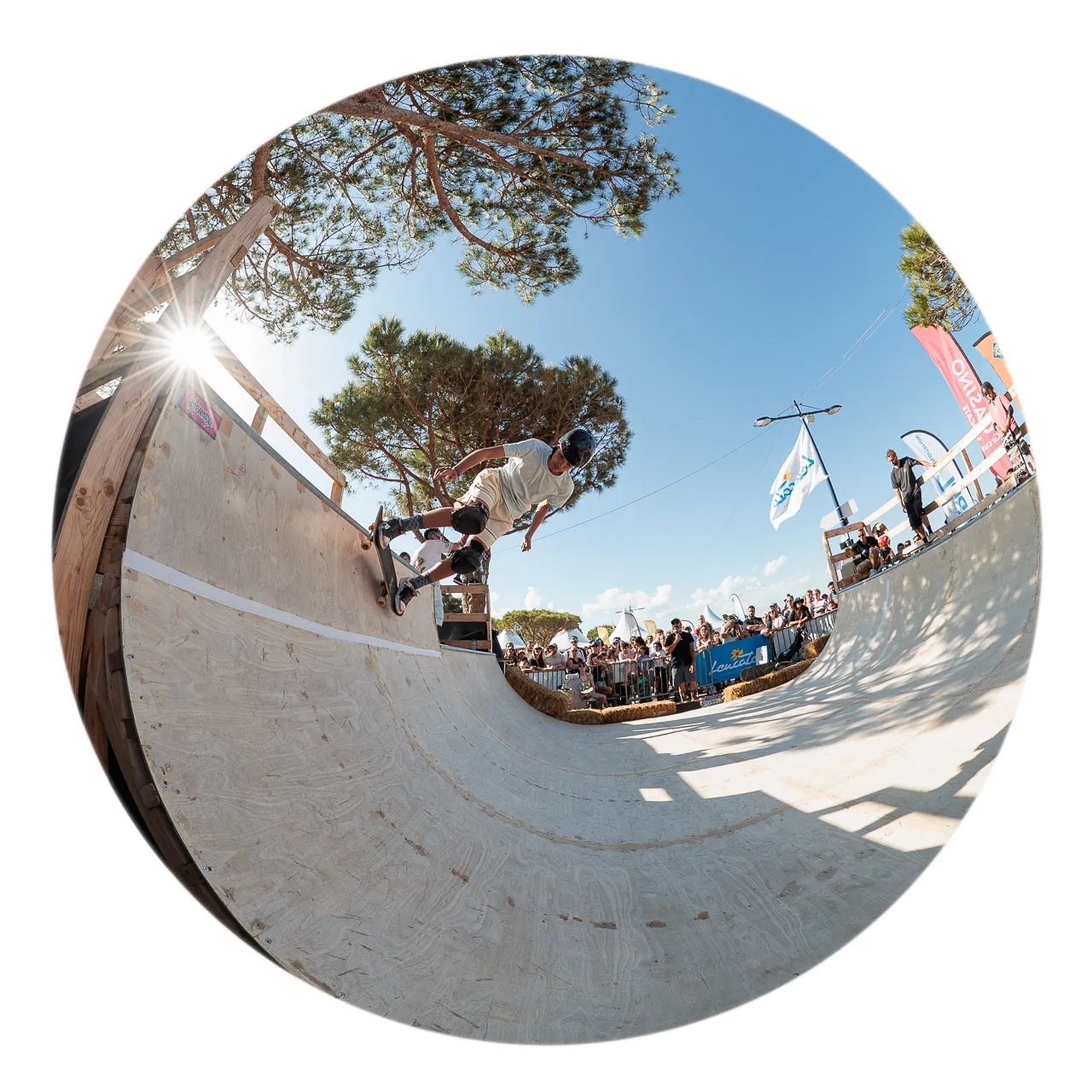 Skate petite rampe - Photo n°5