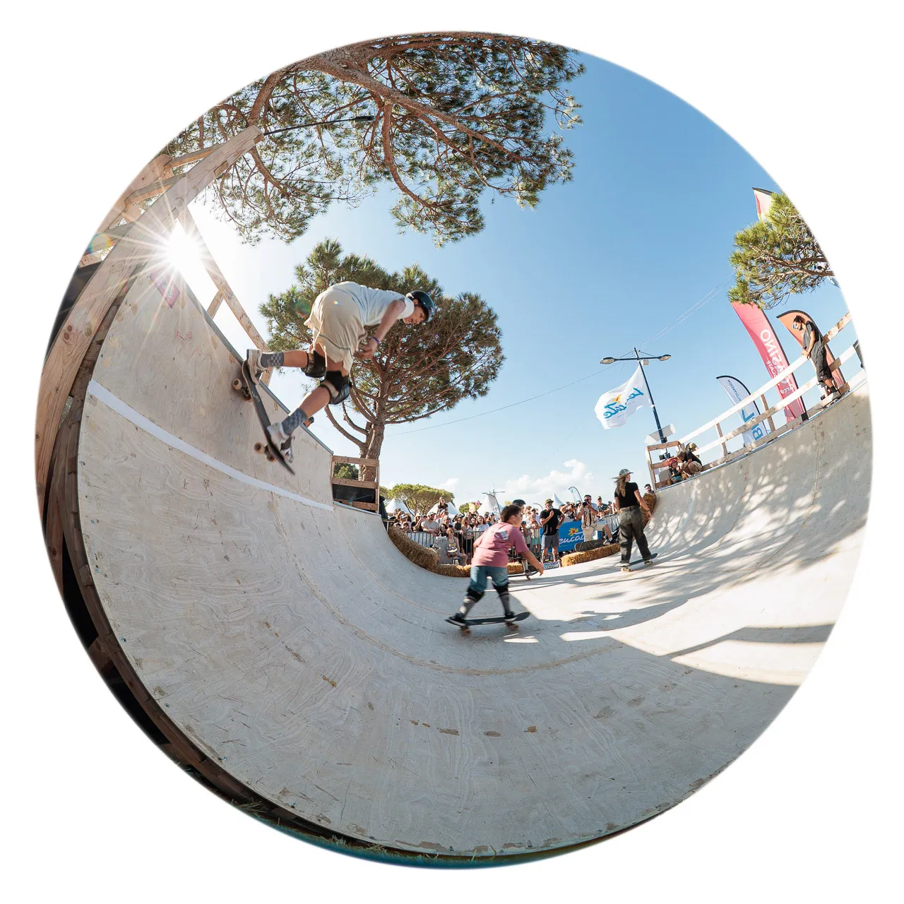 Skate petite rampe - Photo n°6