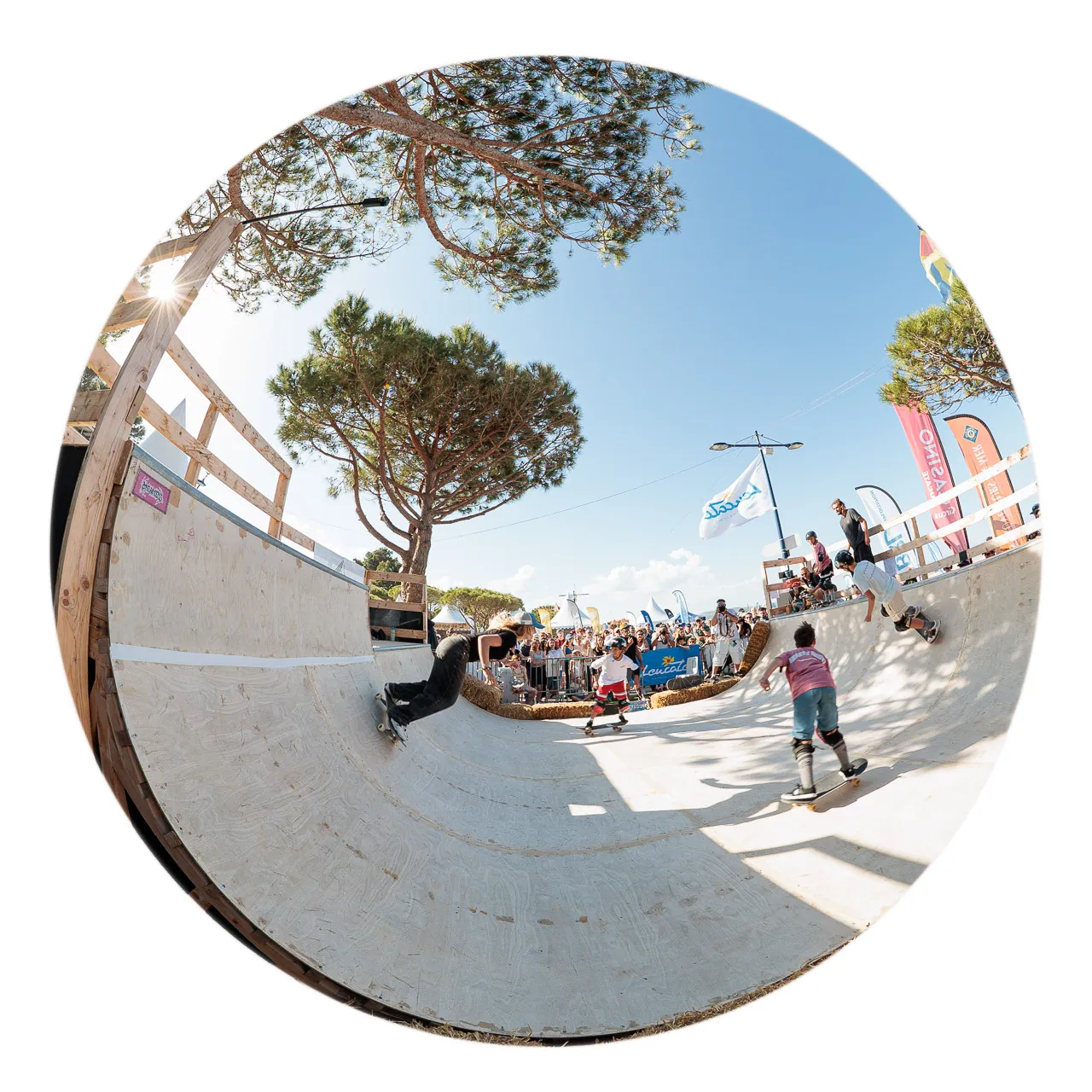 Skate petite rampe - Photo n°9