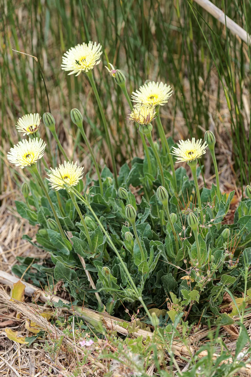 Brun de nature - Photo n°18