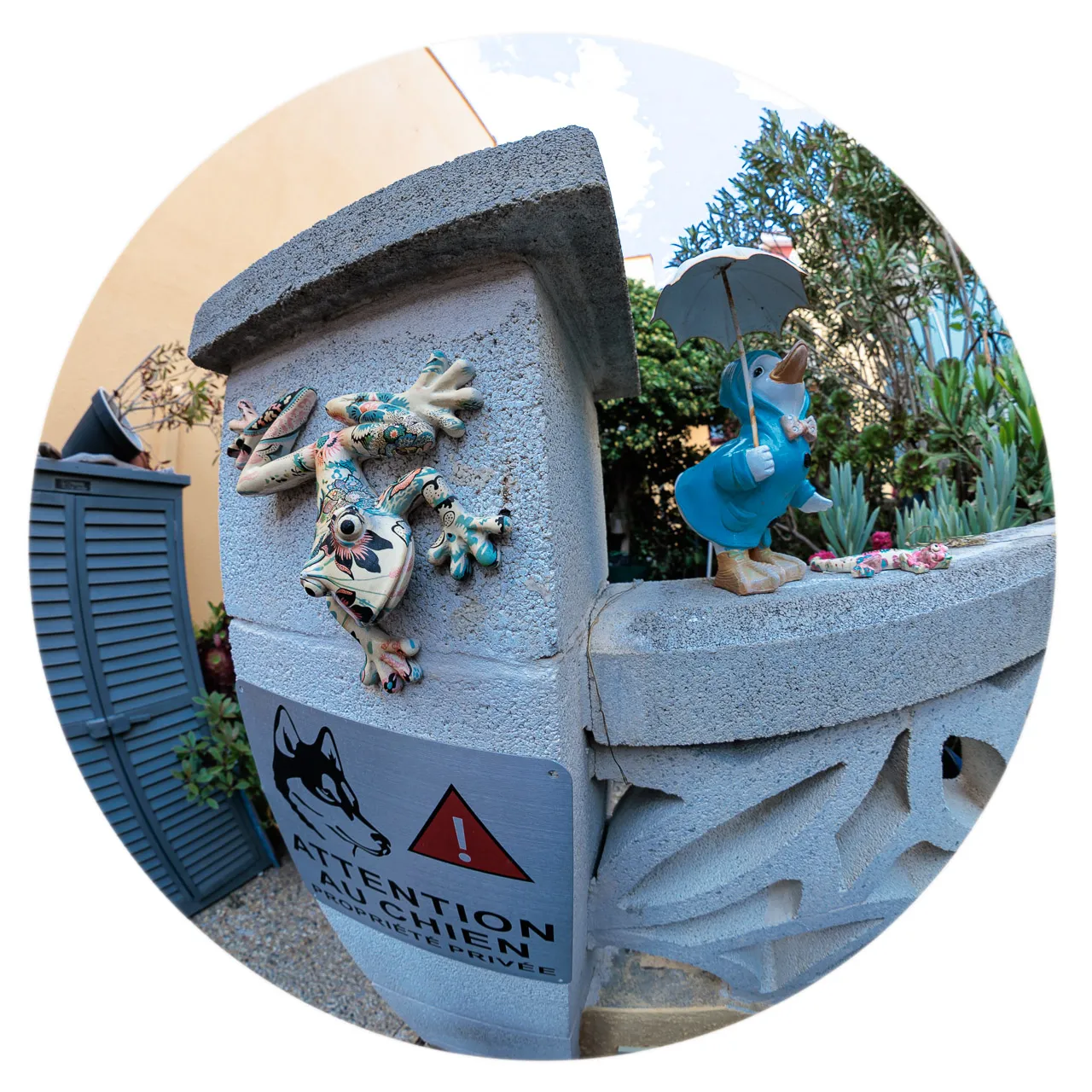 Archibulbe - Photo n°1