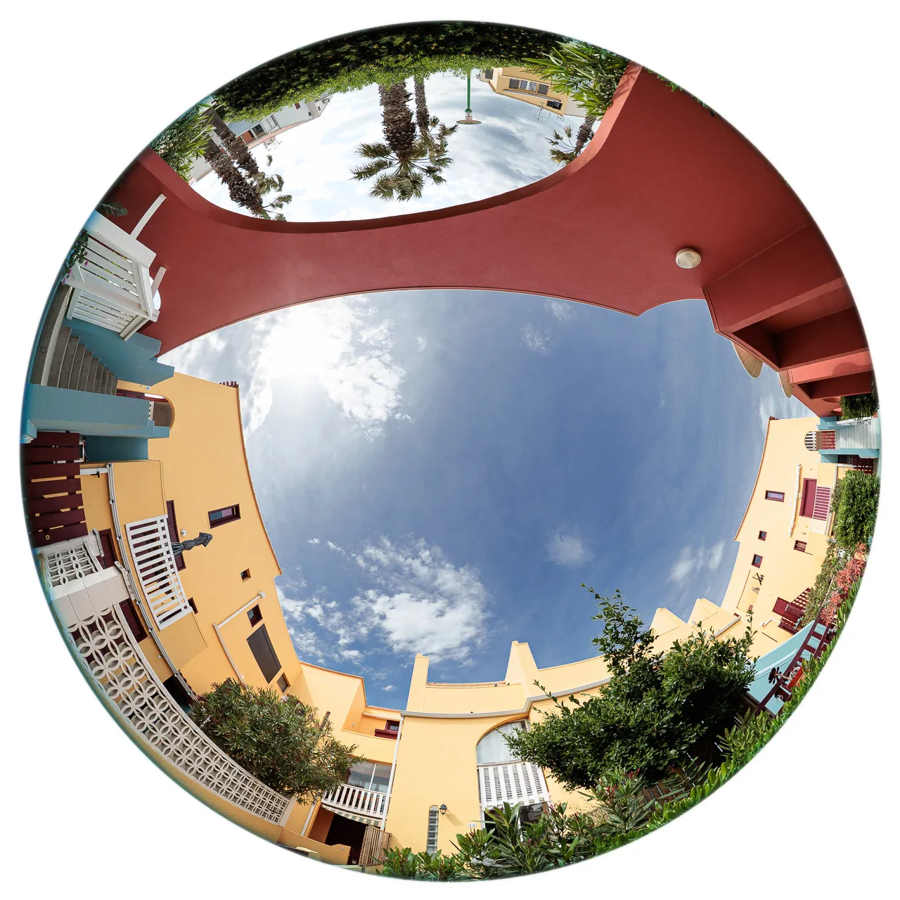 Archibulbe - Photo n°2