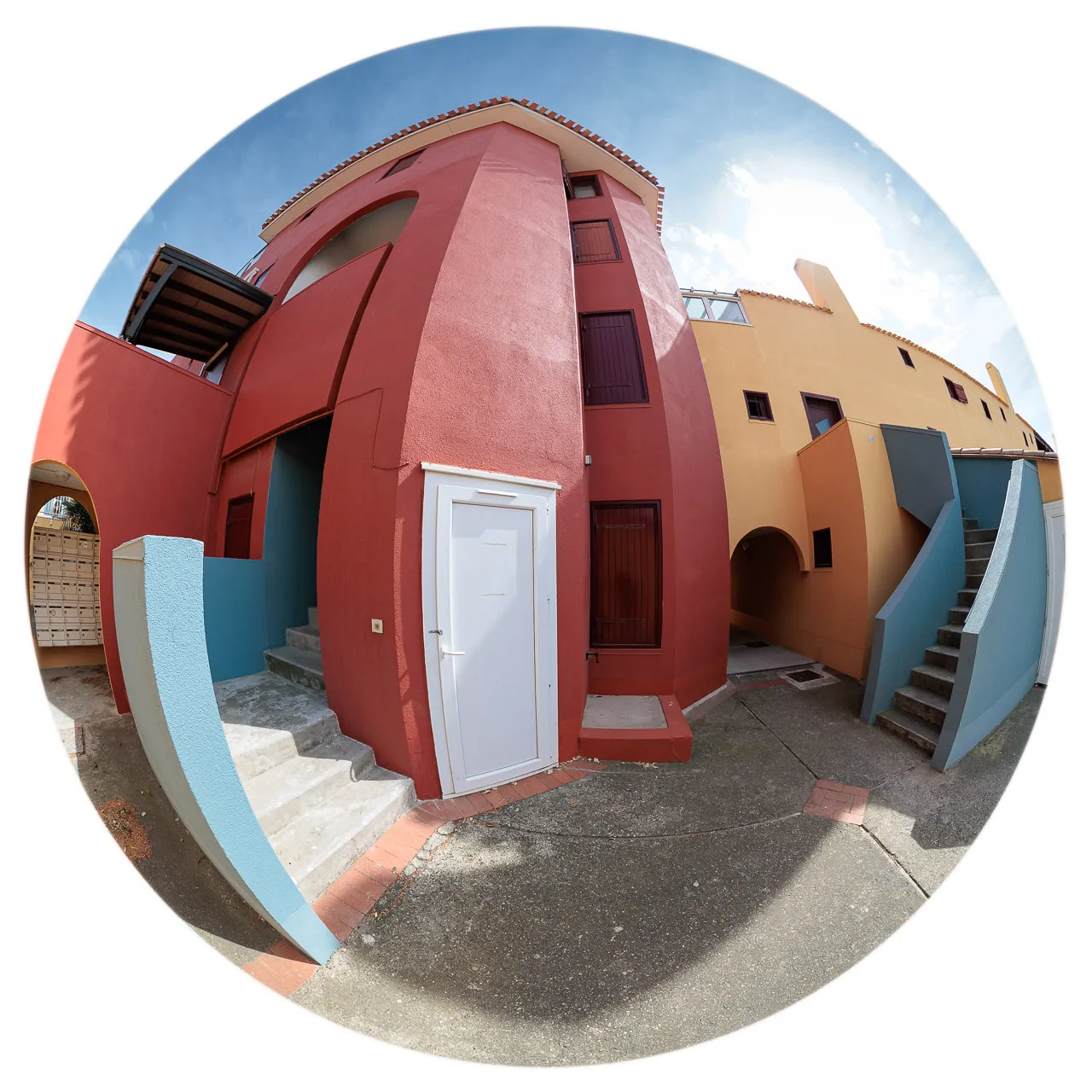 Archibulbe - Photo n°3