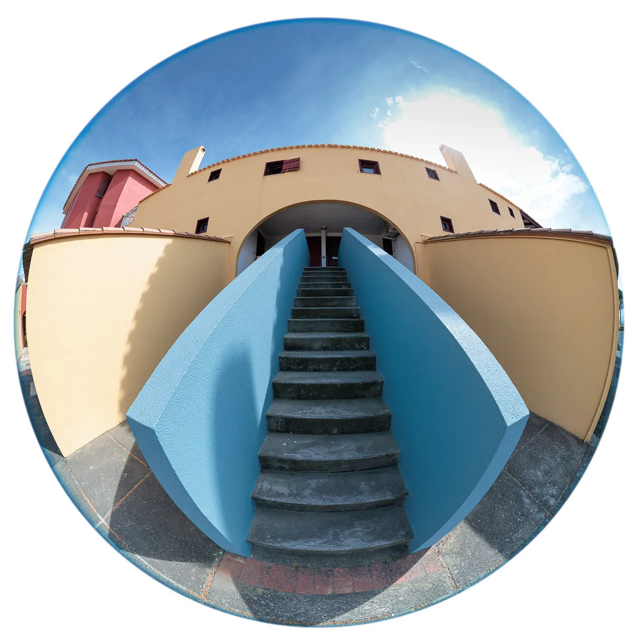Archibulbe - Photo n°4