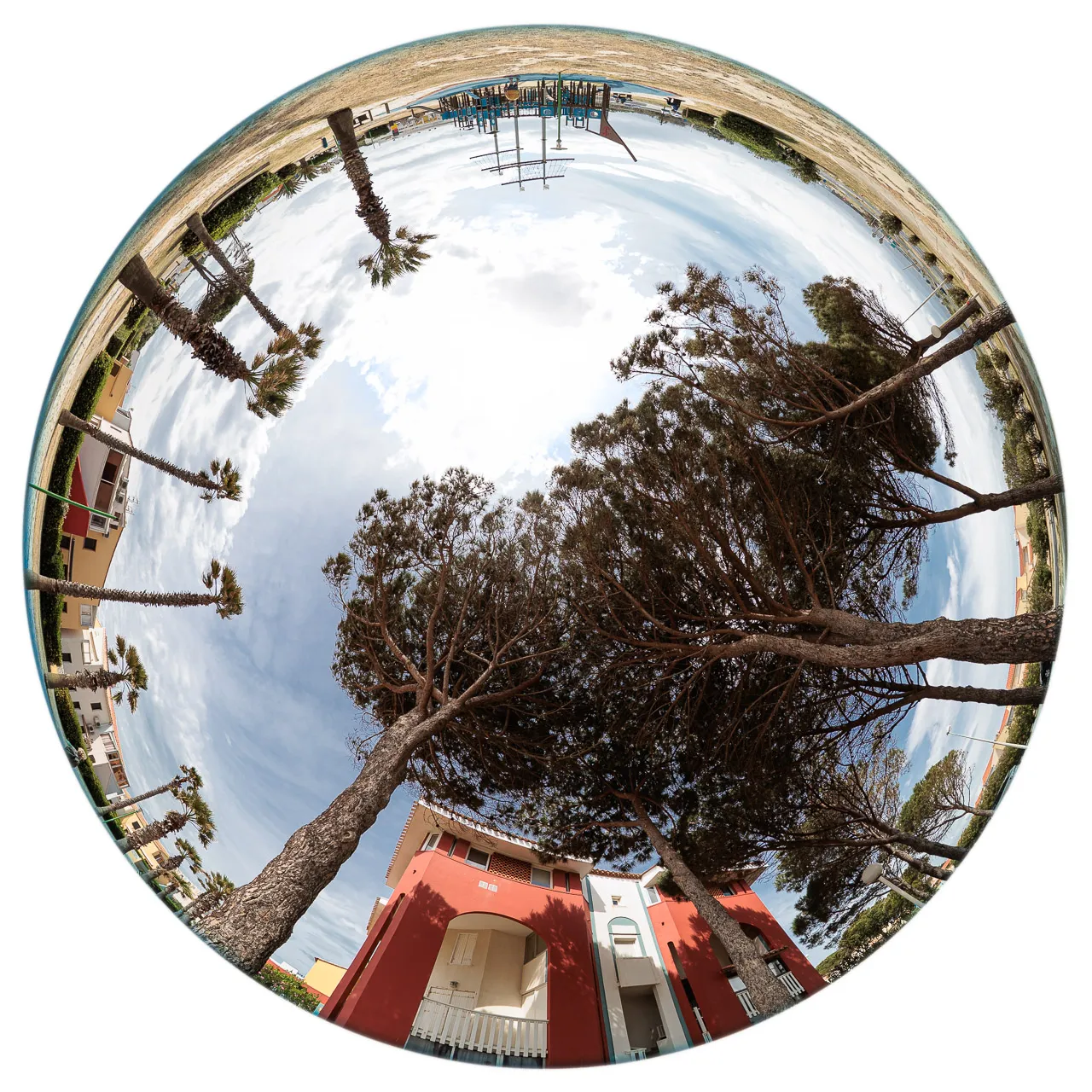Archibulbe - Photo n°5