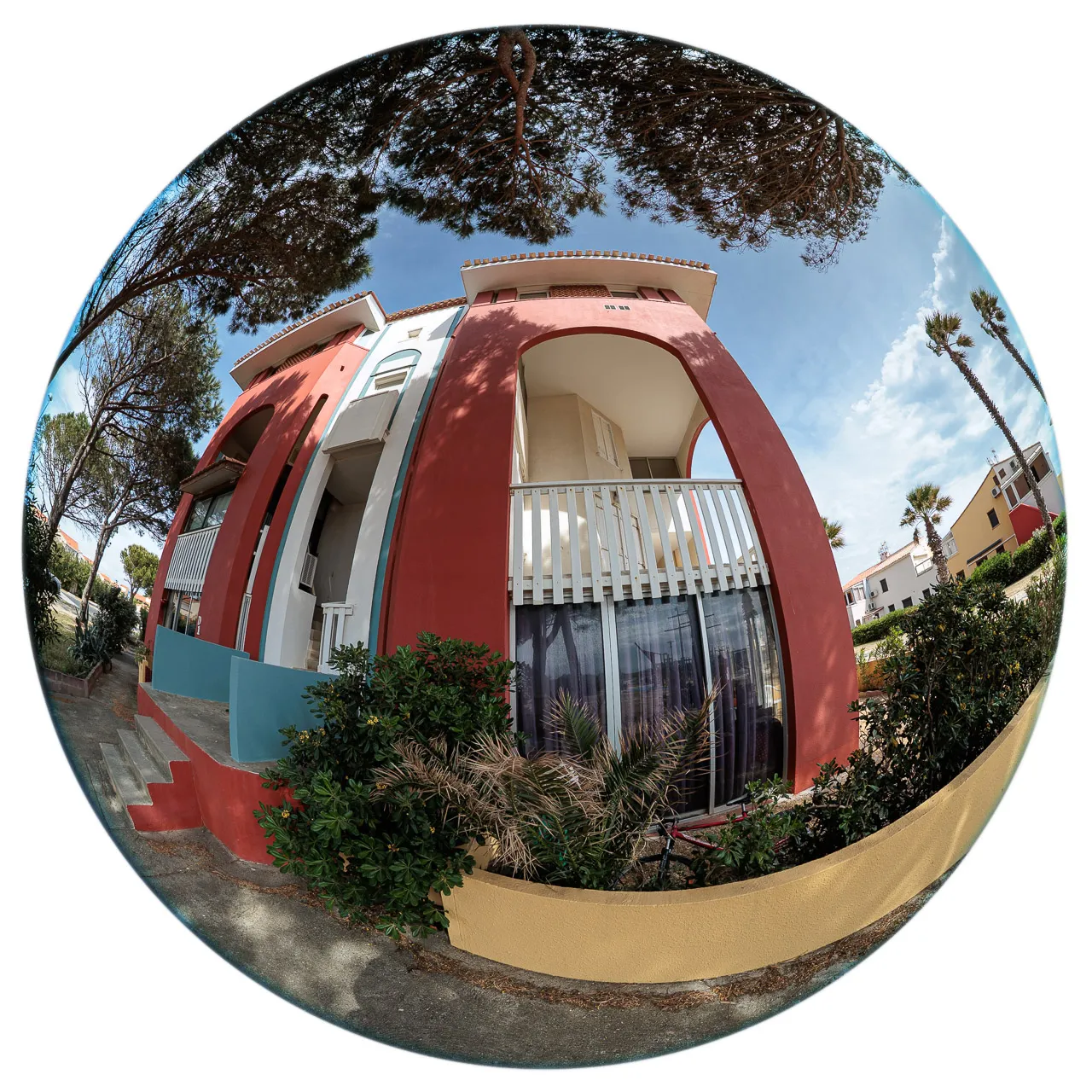 Archibulbe - Photo n°6