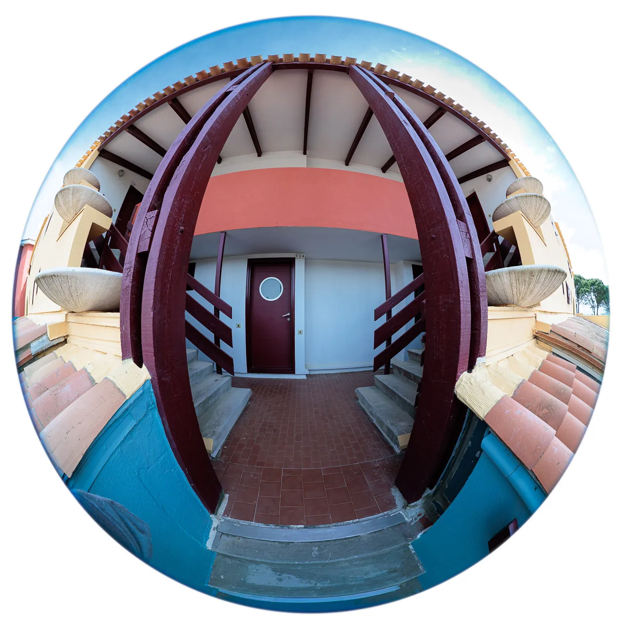 Archibulbe - Photo n°7