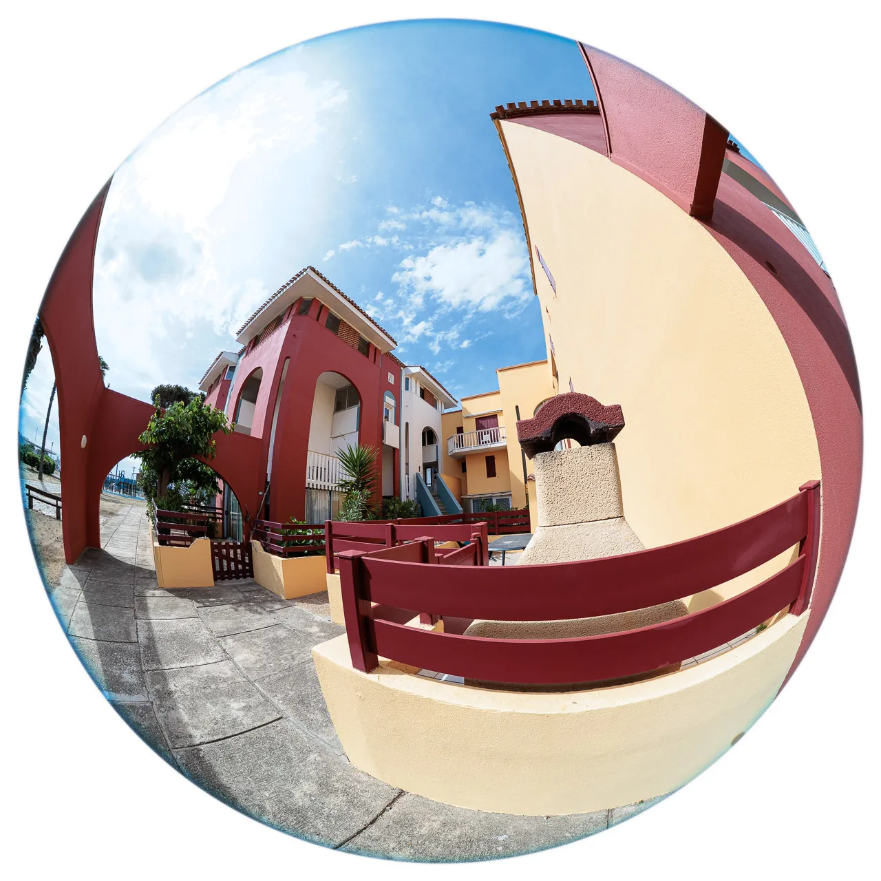 Archibulbe - Photo n°8
