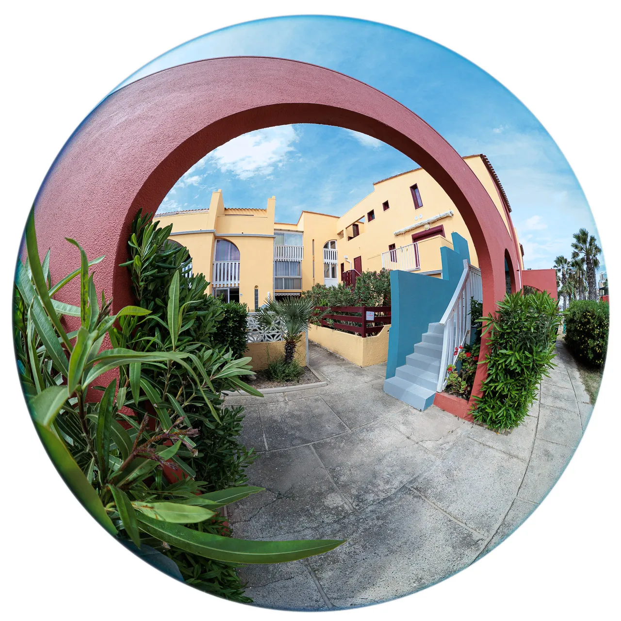 Archibulbe - Photo n°9