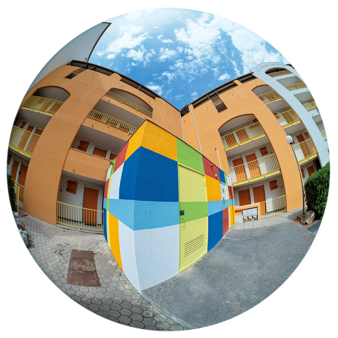 Archibulbe - Photo n°13