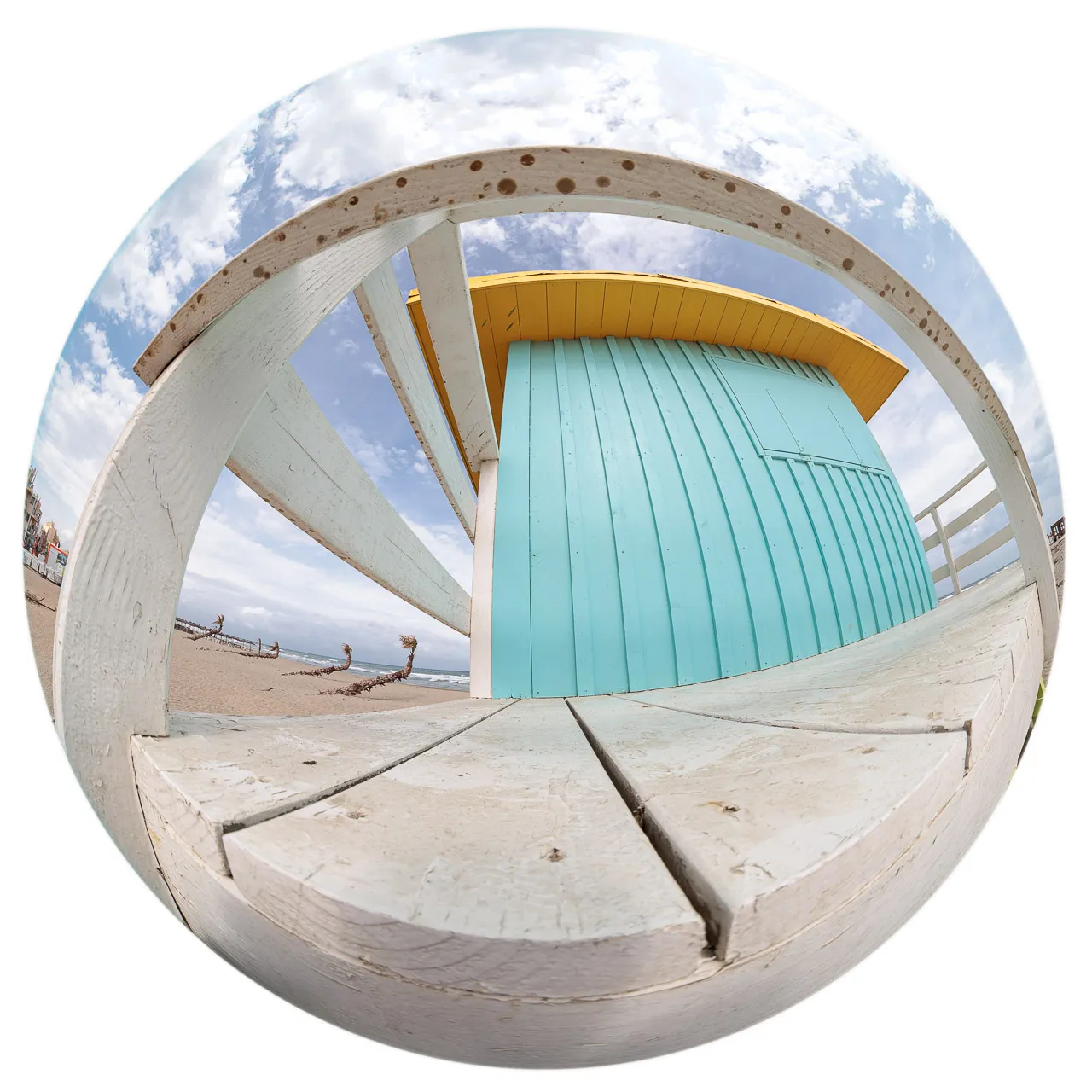 Archibulbe - Photo n°19
