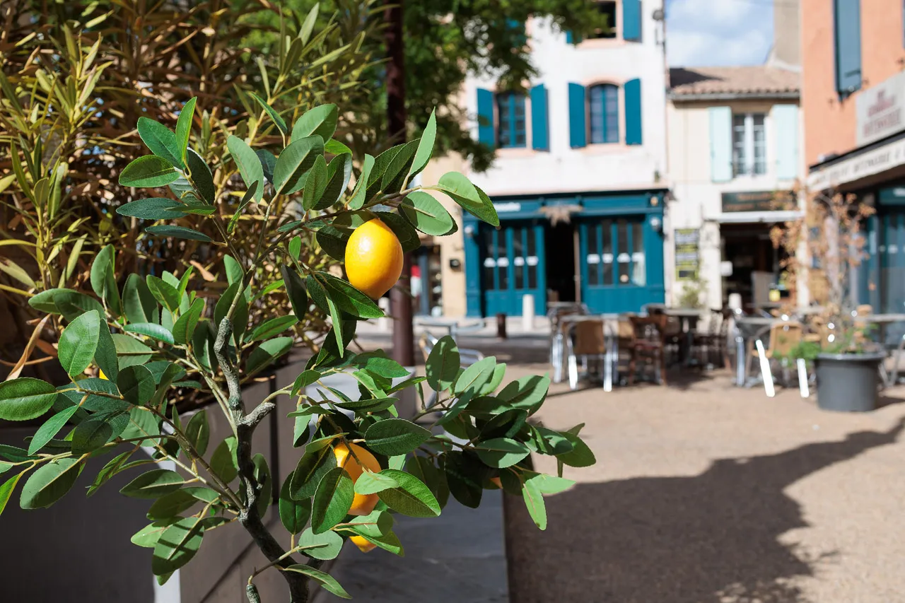 Leucate - Photo n°3