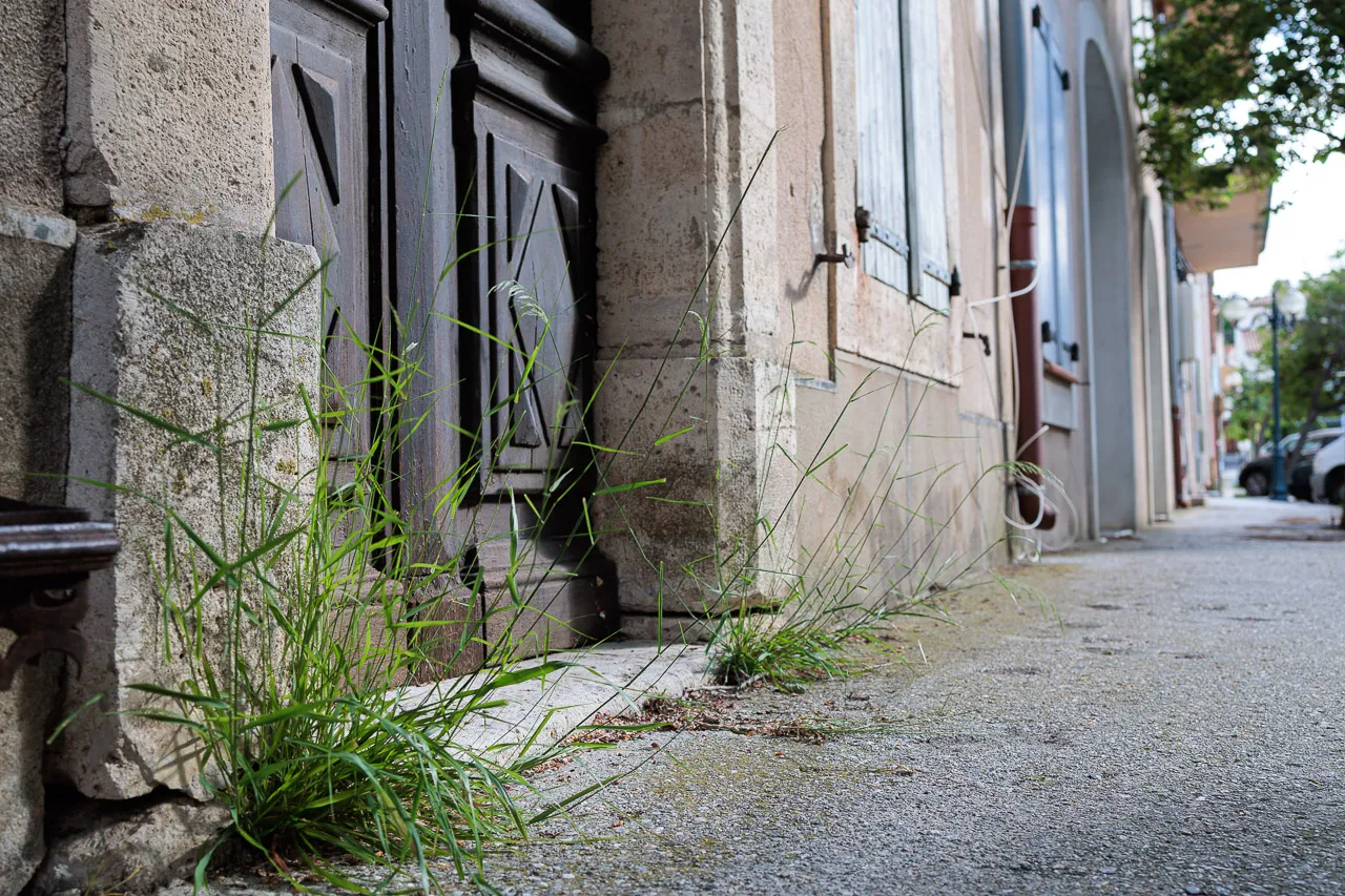 Leucate - Photo n°28