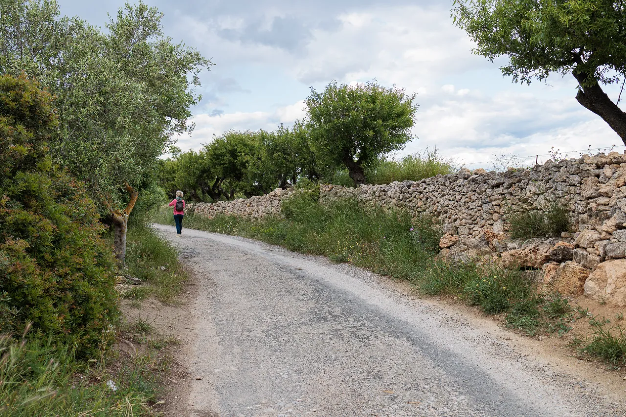 Leucate - Photo n°38