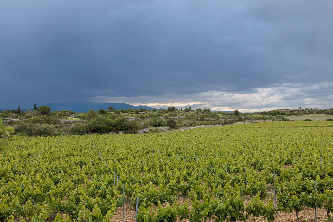Leucate - Photo n°39