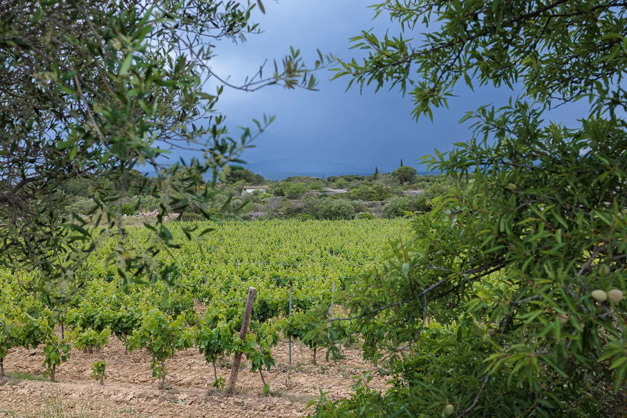 Leucate - Photo n°40