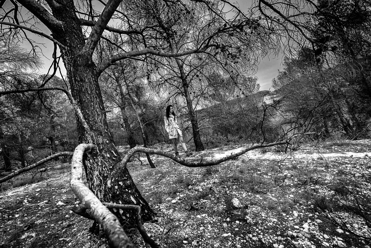 Apocalypse - Photo n°4