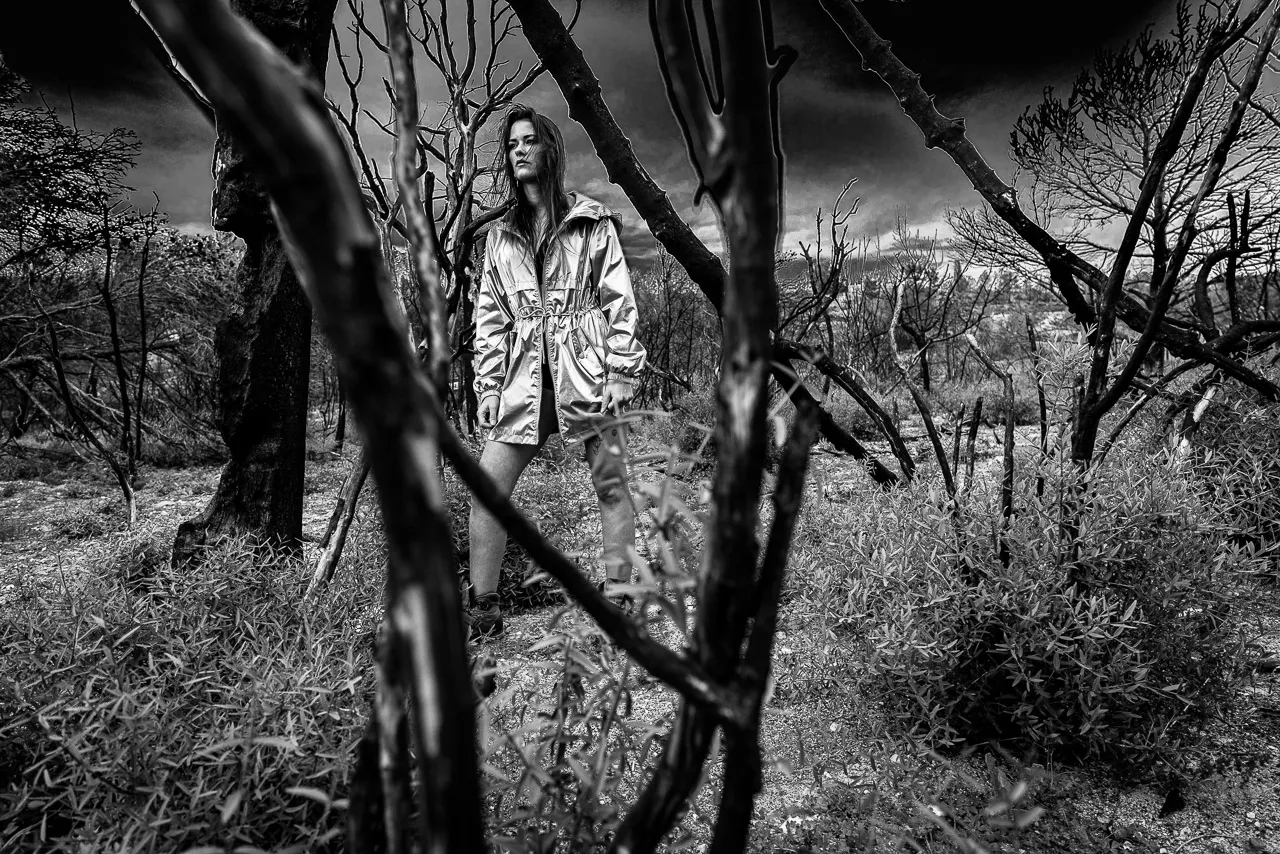 Apocalypse - Photo n°5